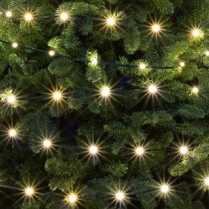 Ghirlanda DOT LED, 30 m, alb cald LED308DWW