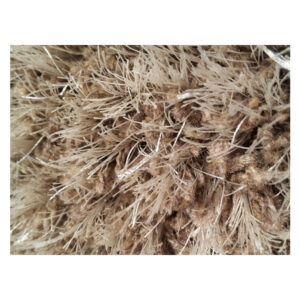 Covor pufos 200 x 290 cm crem / gri / maro / bej Pleasure