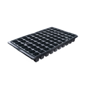 Alveole 70 celule