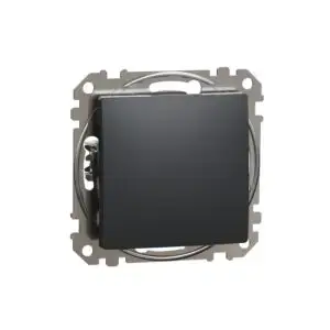 Intrerupator cap scara antracit 10AX SDD114106
