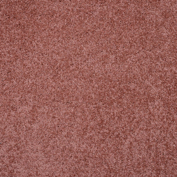 Mocheta Capri bordo 27583