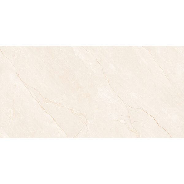 Gresie portelanata Carno Ivory Carving 60x120 cm