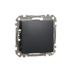 Intrerupator cruce antracit 10AX SCH-SDD114107