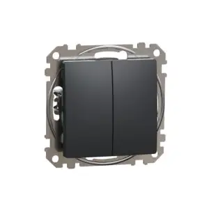 Intrerupator dublu antracit 10AX SCH-SDD114105