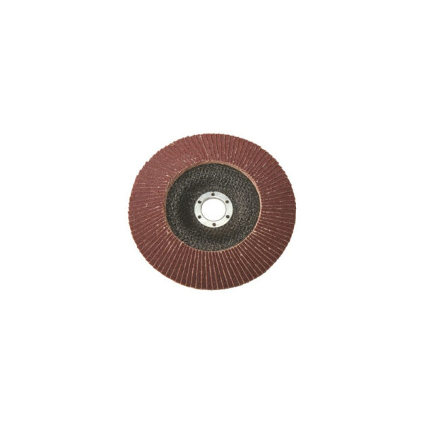 Set 2 discuri cu smirghel  P100 - M14 - LT07977