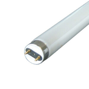 Tub fluorescent 36W/F74
