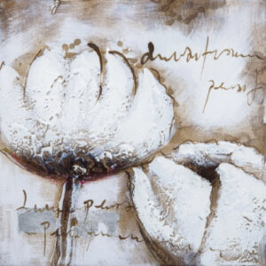 Tablou Tulip alb 30x30 cm