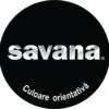 Email Savana pentru casă și grădină cu teflon pe bază de apă 0,75 l negru - imagine 2