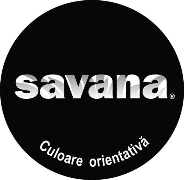 Email Savana pentru casă și grădină cu teflon pe bază de apă 0,75 l negru - imagine 2