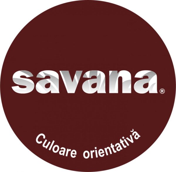 Email Savana pentru casă și grădină cu teflon pe bază de apă 0,75 l maro - imagine 2
