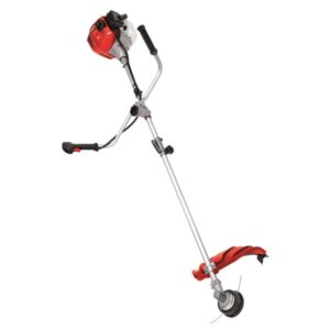 Motocoasa Einhell GH-BC 43 AS
