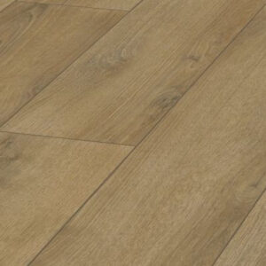 Parchet Evolution D3901