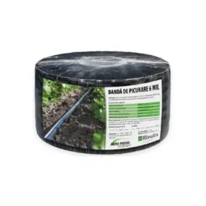 Intretinerea plantelor
