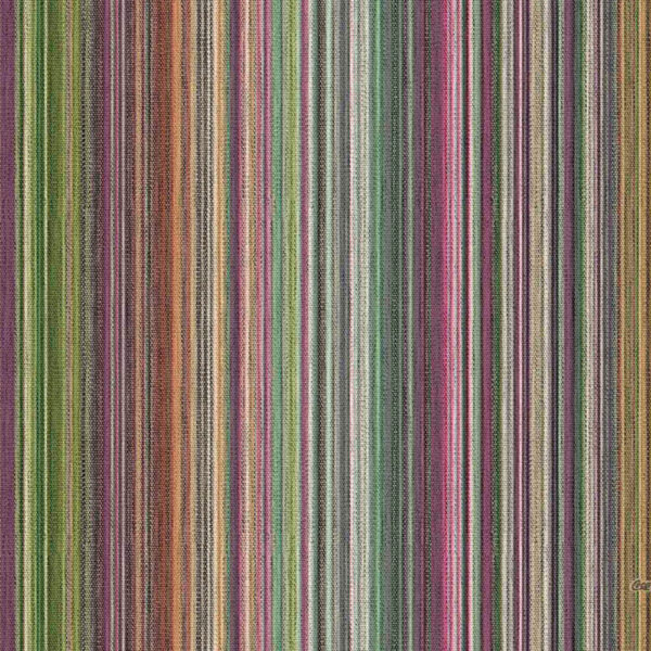 Tapet dungi colorate Z41244