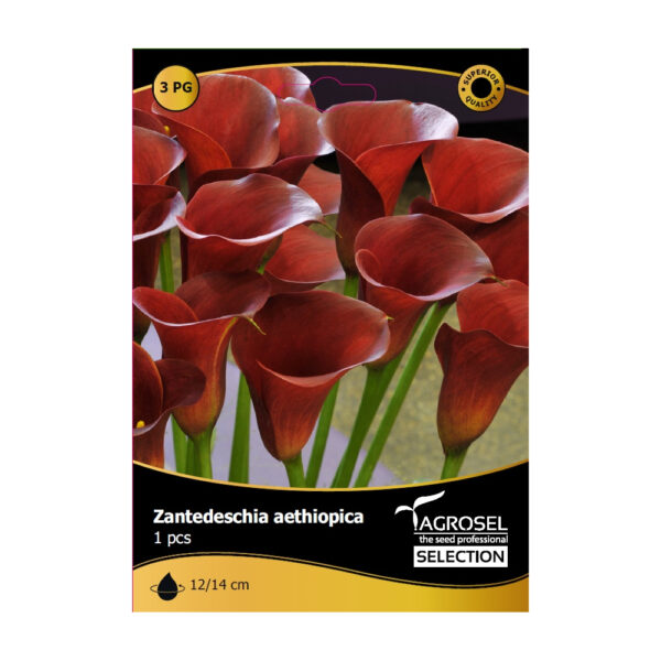 Bulbi de flori Selection Agrosel