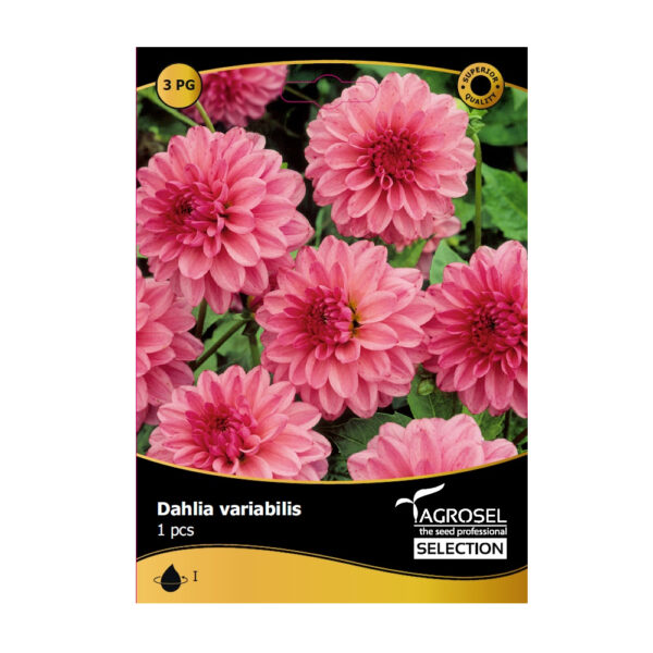 Bulbi de flori Selection Agrosel - imagine 3
