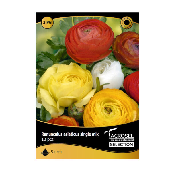 Bulbi de flori Selection Agrosel - imagine 4
