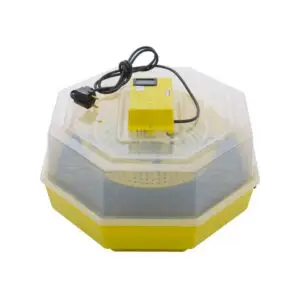 Incubator electric CLEO 5DT cu dispozitiv de intoarcere 41 oua gaina/74 oua prepelita