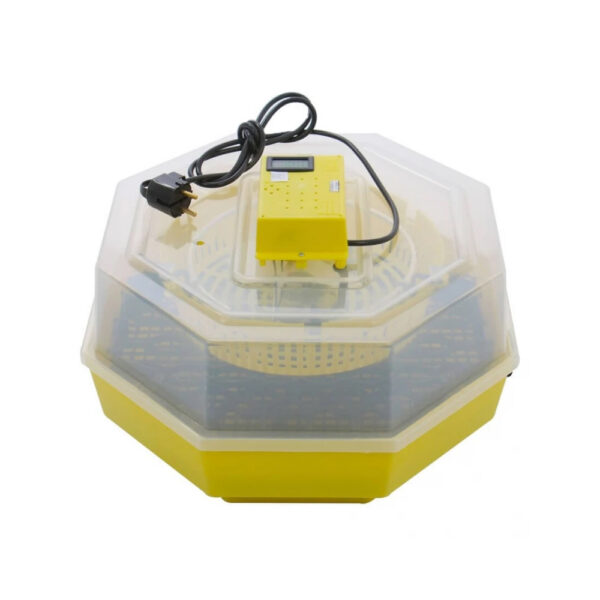 Incubator electric CLEO 5DT cu dispozitiv de intoarcere 41 oua gaina/74 oua prepelita