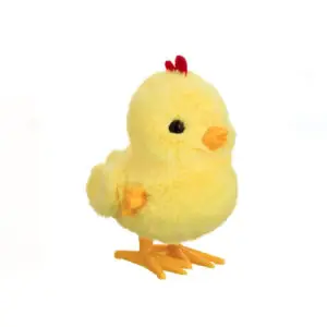 Jucarie puisor cu cheie 10 cm