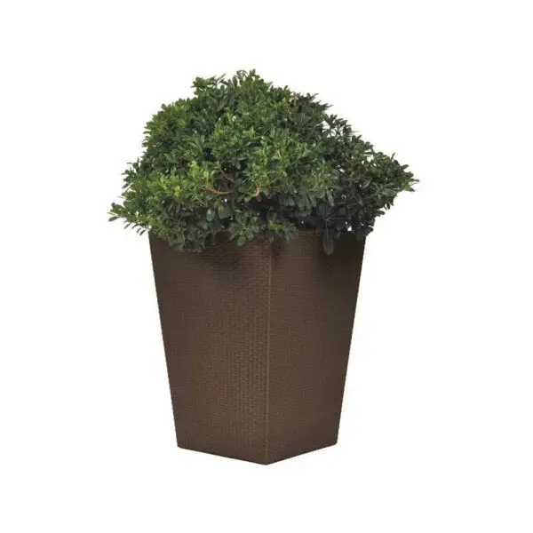 Ghiveci exterior ratan maro, polipropilena, Keter 55,4 L - imagine 2