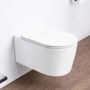 Vas WC suspendat alb lucios Aria + capac B2343