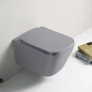 Vas WC suspendat gri Astra + capac B2374DLMH