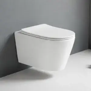 Vas WC suspendat alb lucios Coral + capac B2330D