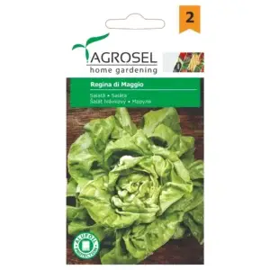Seminte salata Regina - 1,5g