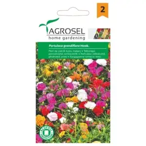 Seminte flori de piatra dublu melanj - 0,4g