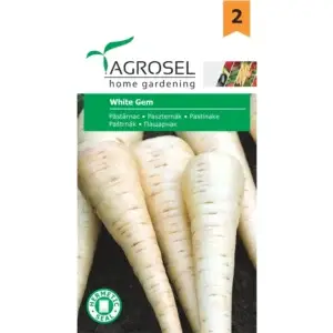 Seminte pastarnac White Gem - 4g