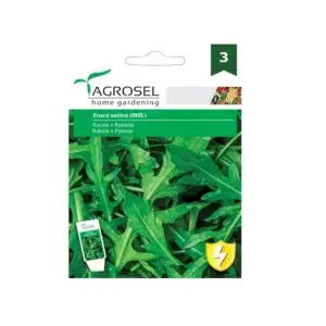 Seminte rucola - 3 g