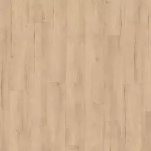 Parchet laminat stejar deschis Exquisit 8 mm, AC4, D40402