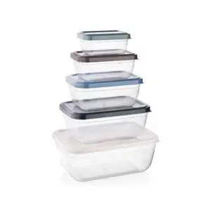 Set 5 cutii dreptunghiulare pentru alimente QS117, 400 – 800 – 1400 – 2300 – 4000 ml, cu capac